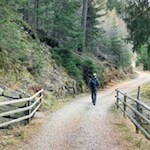Durch den Wald nach Maria Weißenstein