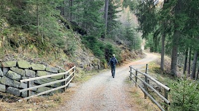 Durch den Wald nach Maria Weißenstein