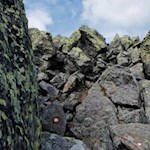 In unmittelbarer Gipfelnähe...