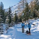 Rodelwanderung zur Dreischusterhütte