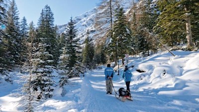 Rodelwanderung zur Dreischusterhütte