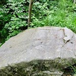 Schalenstein am Partschinser Sagenweg