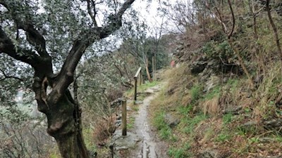 A small path leads to the 