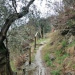 Un piccolo sentiero conduce alle "marmitte dei giganti"