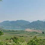 Das Südtiroler Unterland ist für seine Obst- und Weinwiesen bekannt