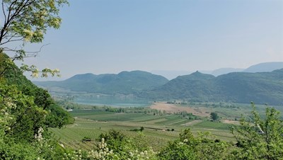 Das Südtiroler Unterland ist für seine Obst- und Weinwiesen bekannt