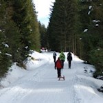 Durch den knirschenden Schnee zur Taistner Alm