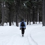 Auf dem Weg Nr. 23 zurück zur Gasserhütte