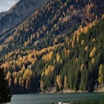 Am Nordostufer des Antholzer Sees