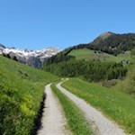 „Wie herrlich leuchtet mir die Natur! Wie glänzt die Sonne! Wie lacht die Flur!“ (J. W. von Goethe)