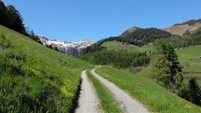 „Wie herrlich leuchtet mir die Natur! Wie glänzt die Sonne! Wie lacht die Flur!“ (J. W. von Goethe)