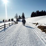 Easy winter hike on the Alpe di Rodengo alp