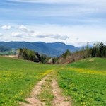 Durch sattgrüne Wiesen zurück nach St. Konstantin