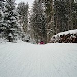 Abfahrt auf der Rodelbahn Ratschings