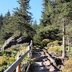 Der Weg durch die Burkhardklamm ist teils mit Zäunen und Holzplanken gesichert