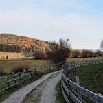 "Schenkens Lohn ist wie die Saat, / die aufgeht: Reiche Ernte naht, / wenn reichlich ausgestreut man hat." (W. v. Vogelweide)