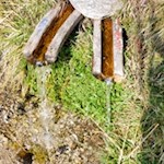 Kleine Quelle am Wegesrand