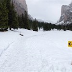 Ein gewalzter Fußweg führt durch das malerische Langental