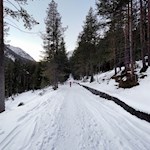 Winterwanderung auf die Plätzwiese