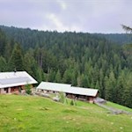 Hinter der Moschwaldalm präsentiert sich die Maiser Alm