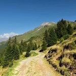 Vor der Kulisse der Telfer Weißen zur Kuhalm