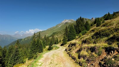 Vor der Kulisse der Telfer Weißen zur Kuhalm