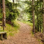 Auf dem Bienenweg laden Bänke zur kurzen Rast
