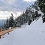 Dank ihrer sanften Neigung auch bei Familien beliebt: die Rodelbahn von der Moarhofalm