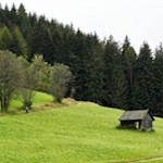 Die Große Schlossrunde führt durch Wiesen und Wälder