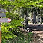 Die Wanderung zur Leadner Alm ist bestens ausgeschildert