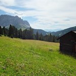 Unsere kurze Wanderung führt durch die malerischen Peitlerwiesen