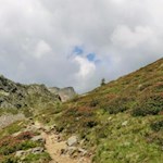 Aufstieg zur Tiefrastenhütte