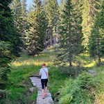 Der Rückweg von der Laureiner Alm erfolgt auf dem Hinweg