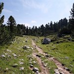 Auf dem Steig Nr. 7 zur Senneshütte