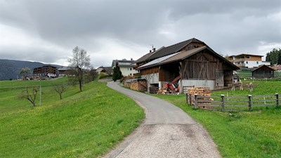 Zuletzt folgt die Wanderung einem Sträßchen nach Hofern