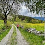 Frühlingswanderung-bei-Lajen