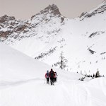 Die Winterwanderung auf das Limojoch führt durch eine berückende Landschaft