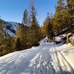 On the way back from the Rifugio di Vallandro mountain hut to Carbonin