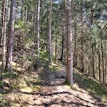 Der Stationenweg ist bestens markiert