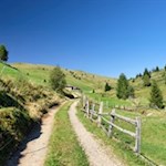 Auf dem Weg Nr. 12 wandern wir zur Kreuzwiesenalm hinab