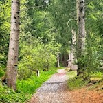 Der breite Weg durch die Kinderwelt ist auch mit dem Kinderwagen befahrbar