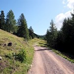 Sanft schlängelt sich der breite Weg zur Getrumalm