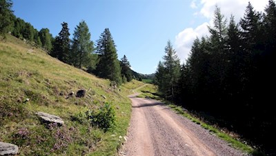 Sanft schlängelt sich der breite Weg zur Getrumalm