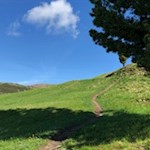 Der Abstieg vom Latzfonser Kreuz erfolgt auf dem Hinweg