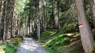 Im sanften Anstieg zur Freundalm
