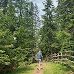 Sanft zieht sich der Wanderweg zur Rotwandhütte