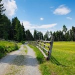 Auf sanften Wegen zur Spisser Alm