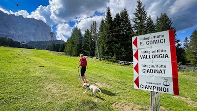 La via per la malga Ciadinat è ben segnalata