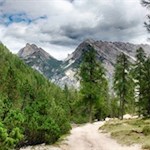 Sanfte Wege zur Gruüünwaldalm mit pittoresken Ausblicken