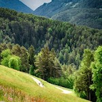 Der Schmetterlingsweg ist auch bei Radfahrern beliebt